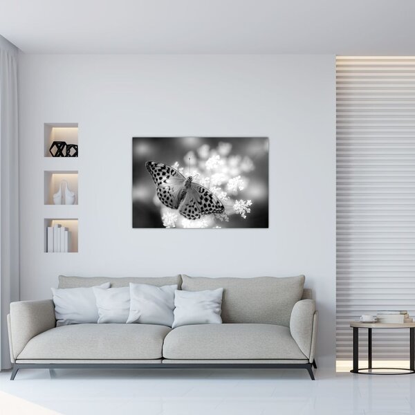 Slika - Detalj leptira koji oprašuje cvijet (90x60 cm)