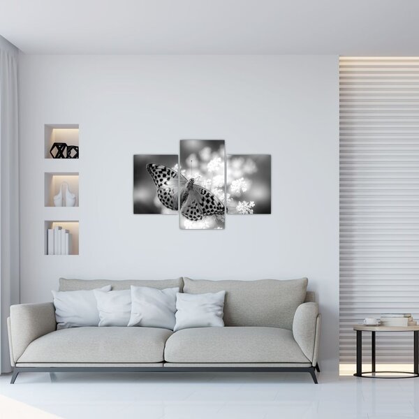 Slika - Detalj leptira koji oprašuje cvijet (90x60 cm)