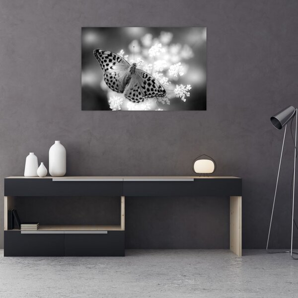 Slika - Detalj leptira koji oprašuje cvijet (90x60 cm)