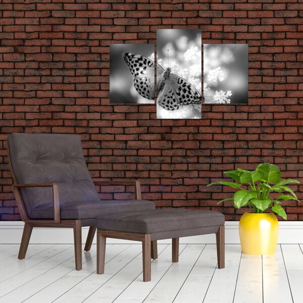 Slika - Detalj leptira koji oprašuje cvijet (90x60 cm)