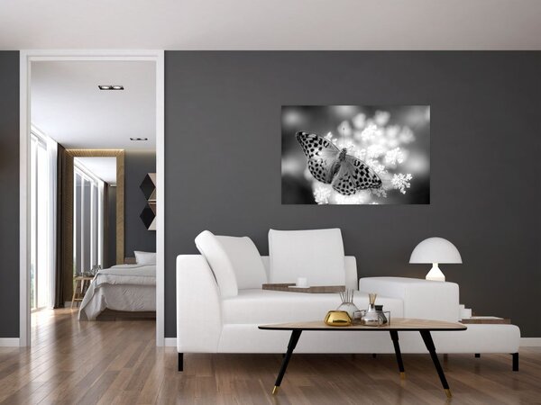 Slika - Detalj leptira koji oprašuje cvijet (90x60 cm)
