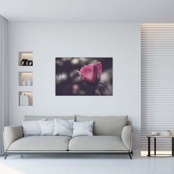 Slika - Detalj cvijeta ruže (90x60 cm)