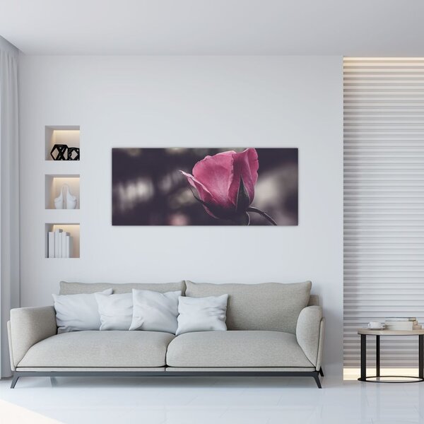 Slika - Detalj cvijeta ruže (120x50 cm)