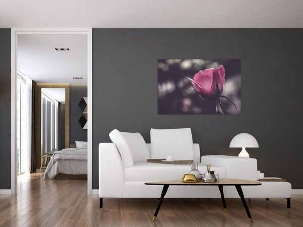 Slika - Detalj cvijeta ruže (90x60 cm)
