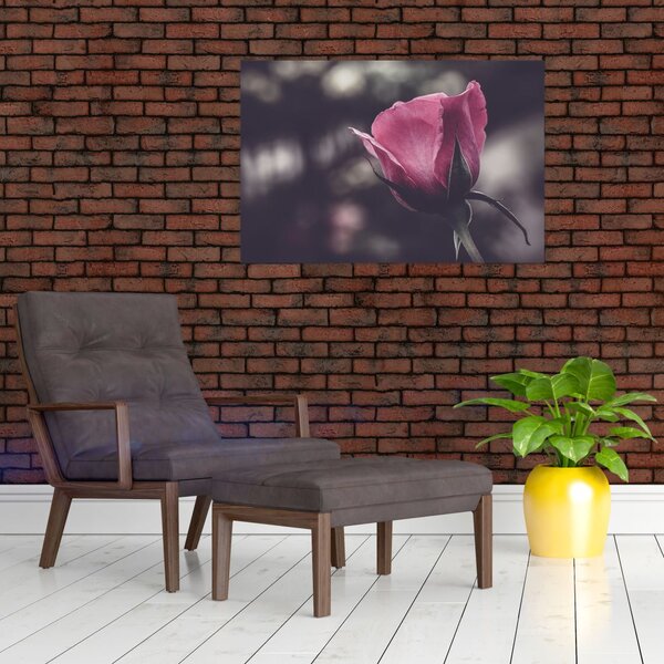 Slika - Detalj cvijeta ruže (90x60 cm)