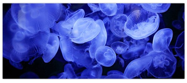 Slika - Meduze (120x50 cm)