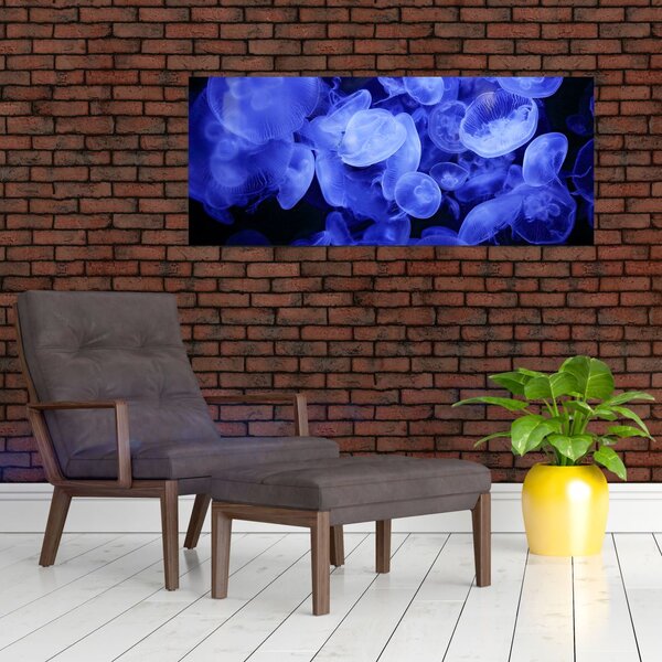 Slika - Meduze (120x50 cm)