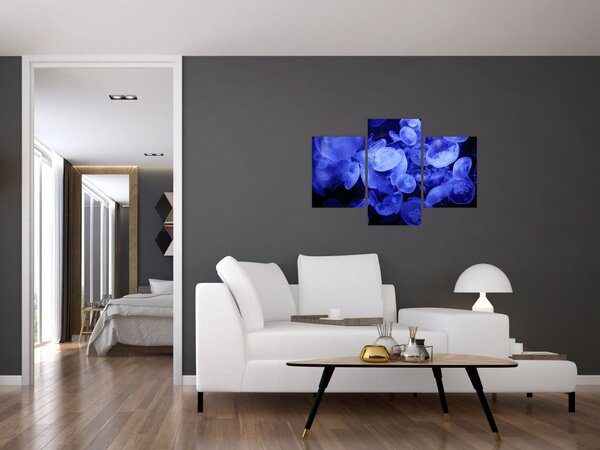 Slika - Meduze (90x60 cm)