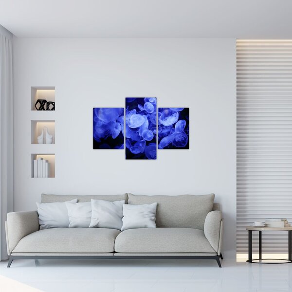 Slika - Meduze (90x60 cm)