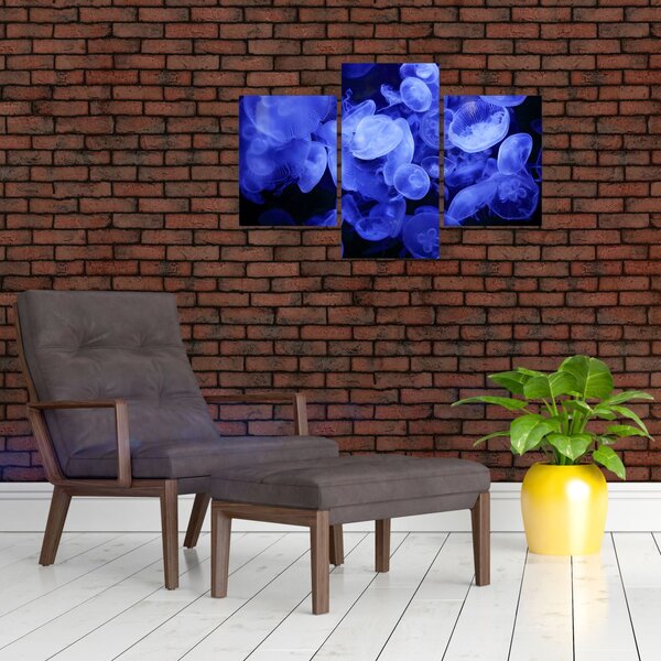 Slika - Meduze (90x60 cm)