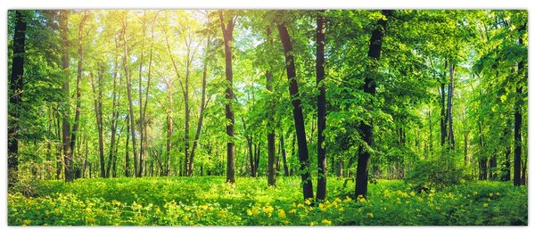 Slika - Proljetna listopadna šuma (120x50 cm)