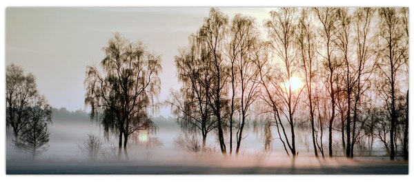 Slika - Vlažno i prohladno jutro (120x50 cm)