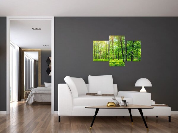 Slika - Proljetna listopadna šuma (90x60 cm)