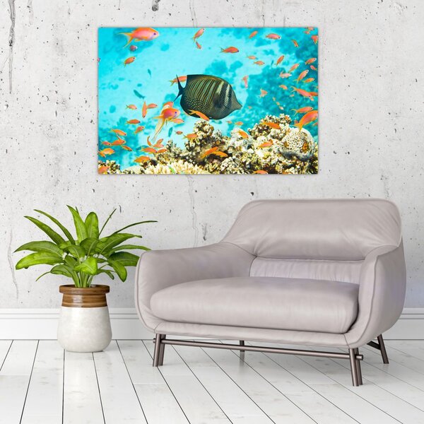 Slika podmorskog svijeta (90x60 cm)