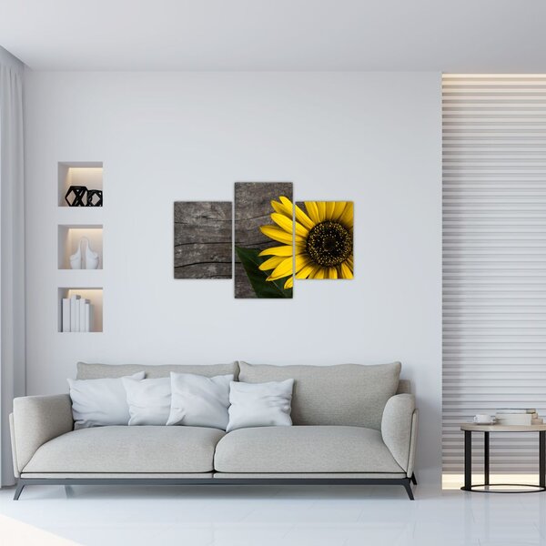 Slika - Cvijet suncokreta (90x60 cm)