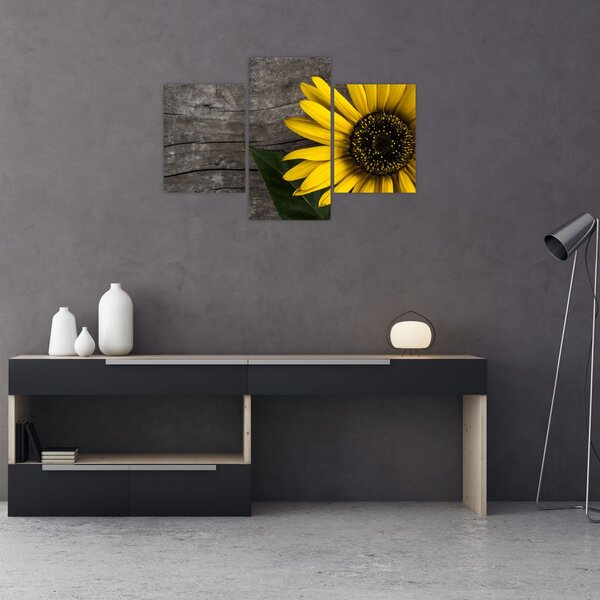 Slika - Cvijet suncokreta (90x60 cm)