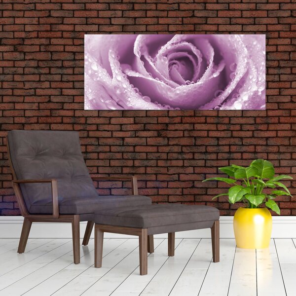 Slika detalja cvijeta ruže (120x50 cm)
