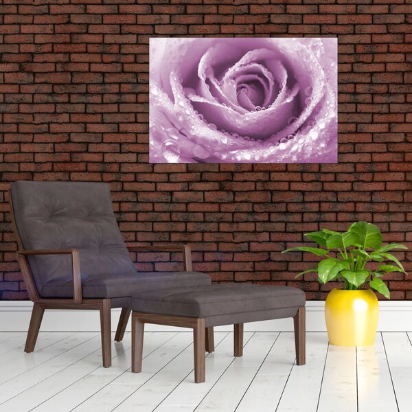 Slika detalja cvijeta ruže (90x60 cm)