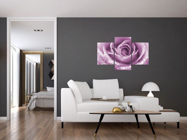 Slika detalja cvijeta ruže (90x60 cm)
