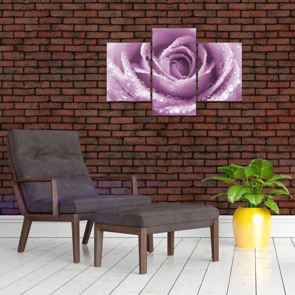 Slika detalja cvijeta ruže (90x60 cm)