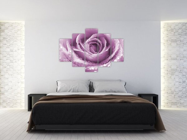 Slika detalja cvijeta ruže (150x105 cm)