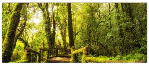 Slika džungle i mahovine (120x50 cm)