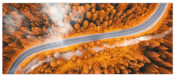 Slika - Planinski put (120x50 cm)