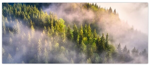 Slika planinskog krajolika (120x50 cm)