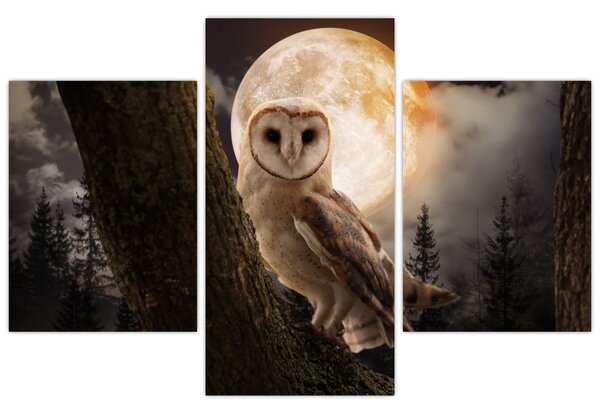 Slika sove kukuvije (90x60 cm)