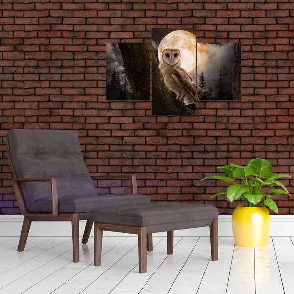 Slika sove kukuvije (90x60 cm)