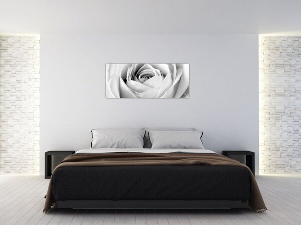 Slika - Detalj cvijeta ruže (120x50 cm)