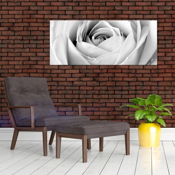 Slika - Detalj cvijeta ruže (120x50 cm)