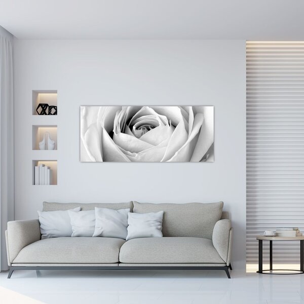 Slika - Detalj cvijeta ruže (120x50 cm)