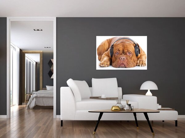 Slika psa sa slušalicama (90x60 cm)