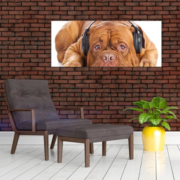Slika psa sa slušalicama (120x50 cm)