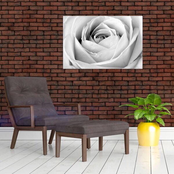 Slika - Detalj cvijeta ruže (90x60 cm)