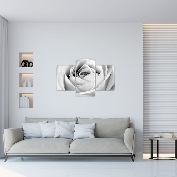 Slika - Detalj cvijeta ruže (90x60 cm)