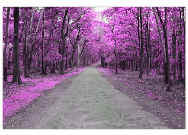 Slika - Put kroz park (90x60 cm)