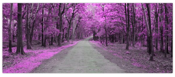 Slika - Put kroz park (120x50 cm)
