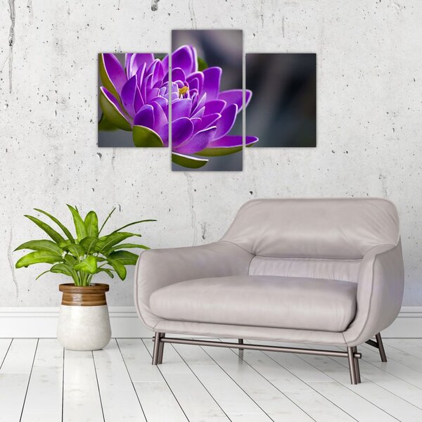 Slika cvijeta (90x60 cm)