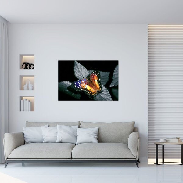 Slika leptira (90x60 cm)