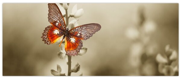 Slika leptira (120x50 cm)