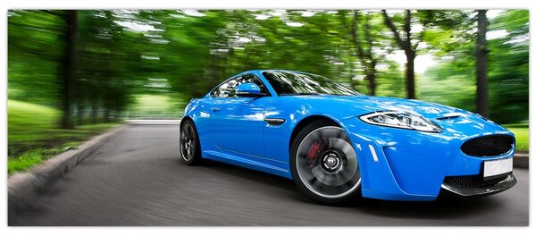 Slika - Trkaći automobil (120x50 cm)