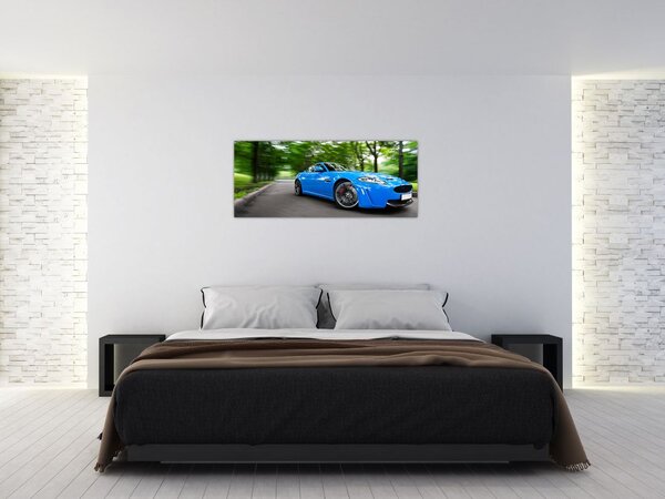 Slika - Trkaći automobil (120x50 cm)