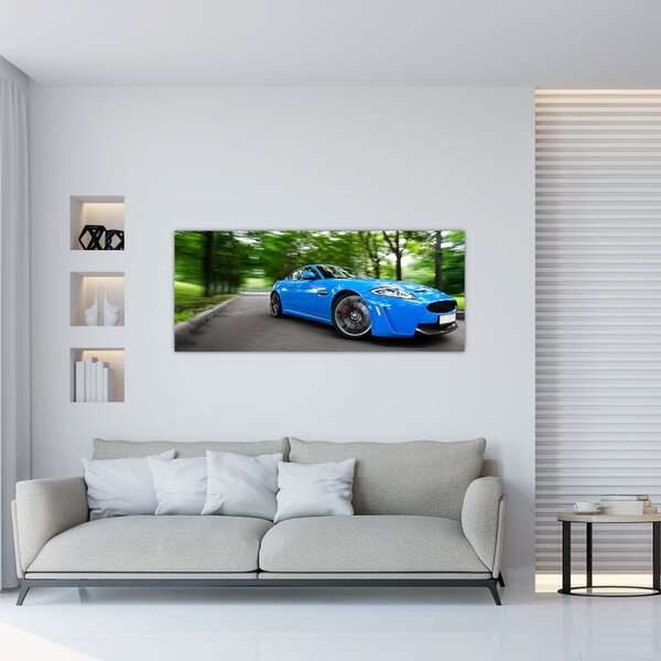 Slika - Trkaći automobil (120x50 cm)