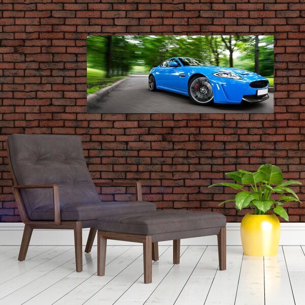 Slika - Trkaći automobil (120x50 cm)