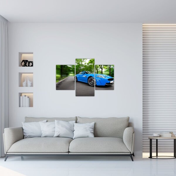 Slika - Trkaći automobil (90x60 cm)