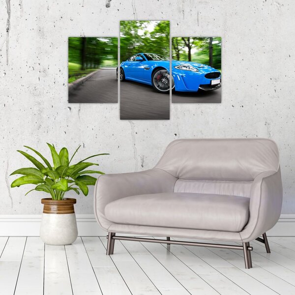Slika - Trkaći automobil (90x60 cm)