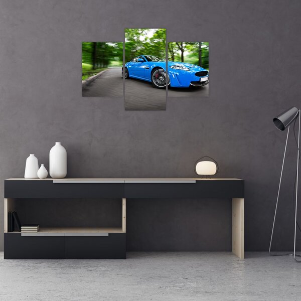 Slika - Trkaći automobil (90x60 cm)