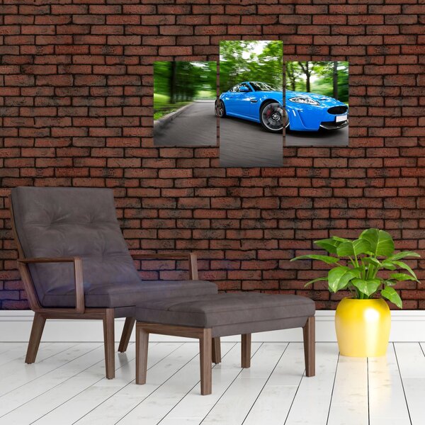 Slika - Trkaći automobil (90x60 cm)
